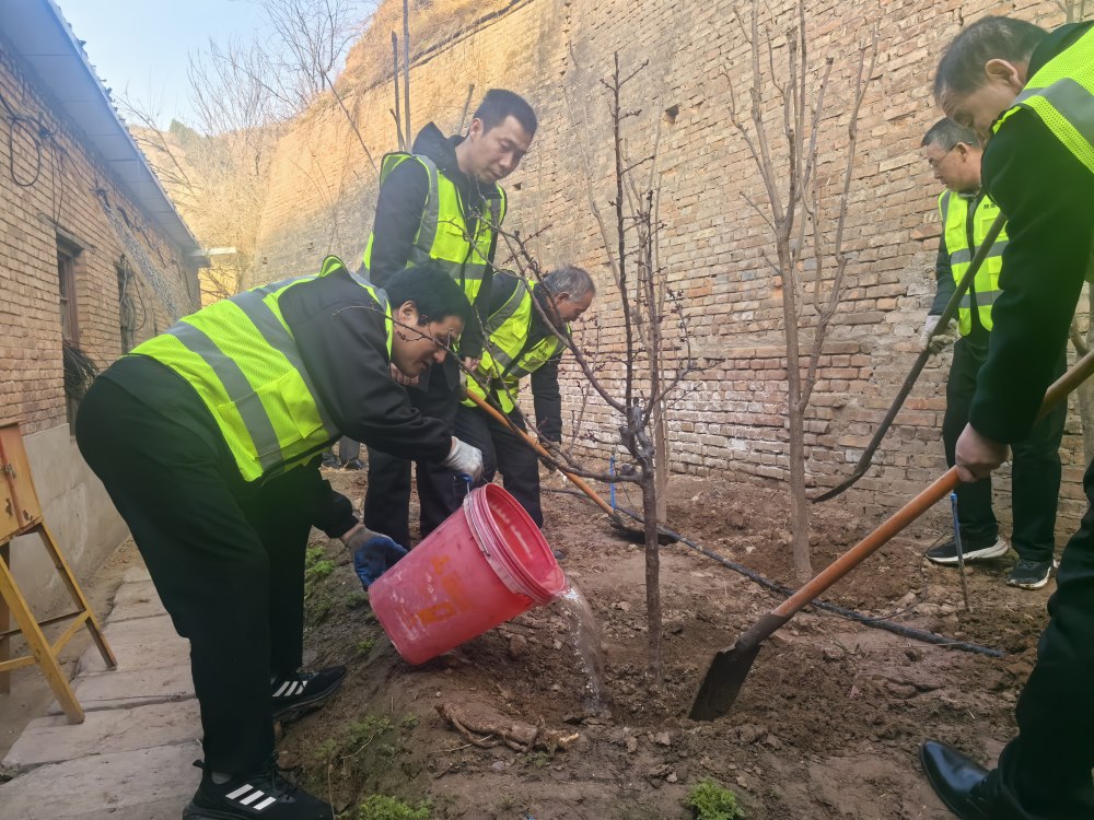 植綠護綠當先鋒 綠水青山踐初心